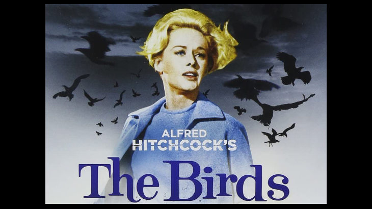 アルフレッド・ヒッチコック監督作品「鳥」が実質無料で観れる動画配信サイト、あらすじを紹介